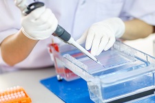 DNA gel extraction and PCR purification